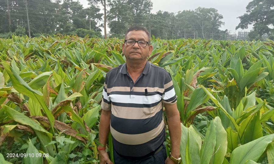 रुख बिरुवाको संरक्षण सँगै सामुदायिक वनभित्र हलेदो खेती गरी आम्दानी बढाउँदै