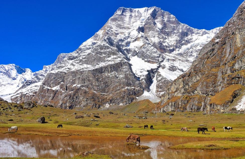 लाङ्गनामा हिउँ पर्नै छोड्यो, वर्षमा एक बाली फल्ने ठाउँमा दुुईदुुई बाली फल्न थाल्यो