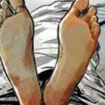 बर्दियाको राजापुरमा रुखले च्यापिँदा एक जनाको मृत्यु
