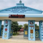 नेपाल संस्कृत विश्वविद्यालयमा भएको दुर्व्यवहारप्रति नेविसंघको कडा आपत्ति