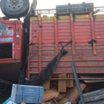 सुनसरीमा ट्रक पल्टिँदा ५ मजदुरको मृत्यु, ३ घाइते