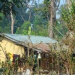 कैलालीको एकता नगर शिविरमा मुक्त कमैयाको कष्टपूर्ण जीवन