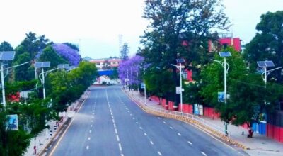 काठमाडौंमा वसन्तको बैजनी जादू