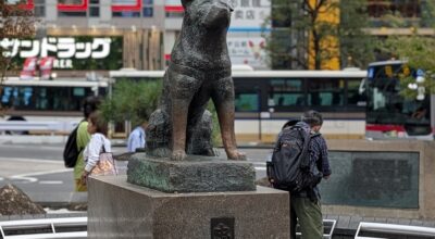 एउटा कुकुर जसले संसारलाई इमानदारिताको ऐना देखायो