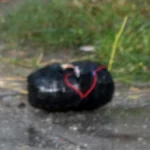 पाेखरामा शंकास्पद वस्तु फेला