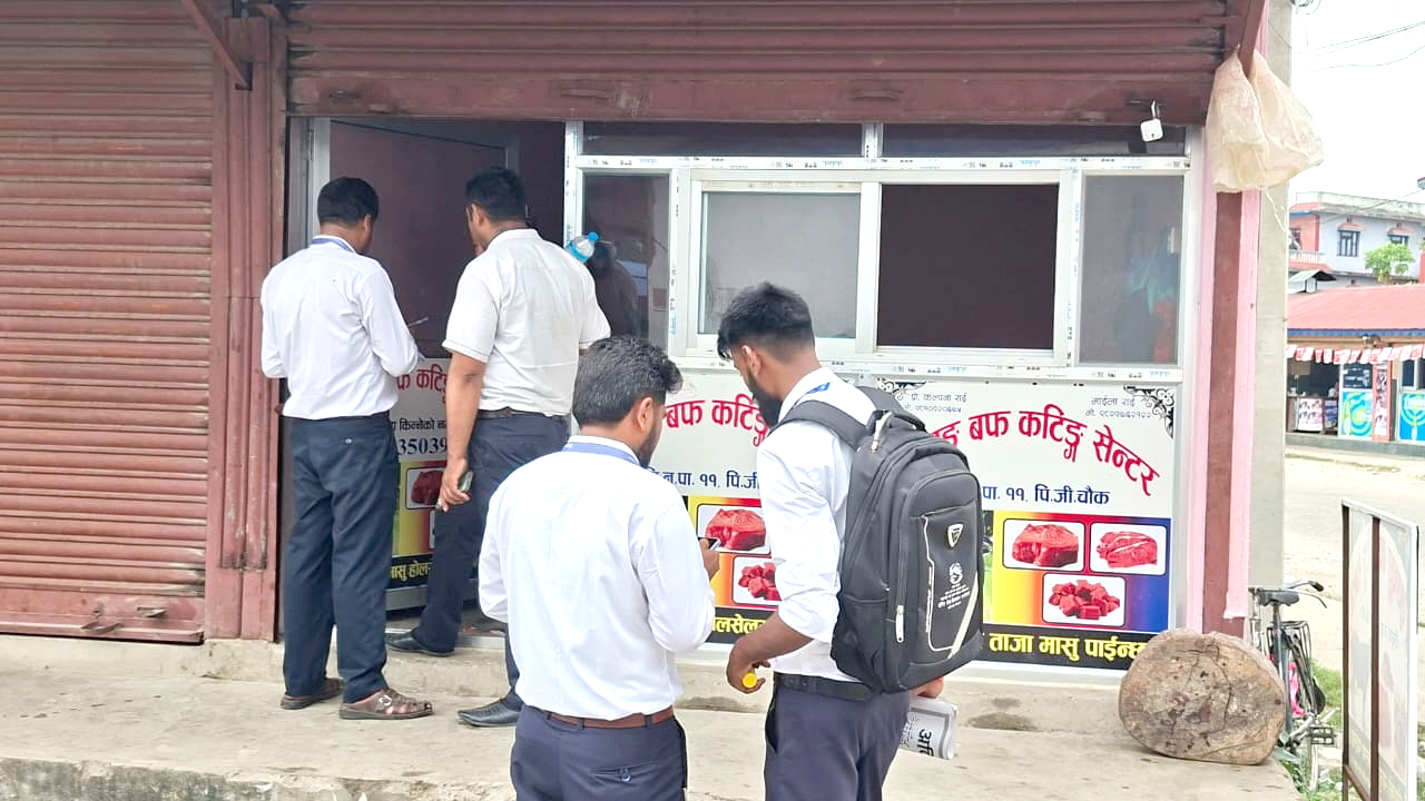 दर्ता नगरी मासु, दाना पसल तथा डेरी संचालन